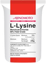 Lysine 99% - Công Ty Cổ Phần Phát Triển Nông Nghiệp Long Anh Việt Nam